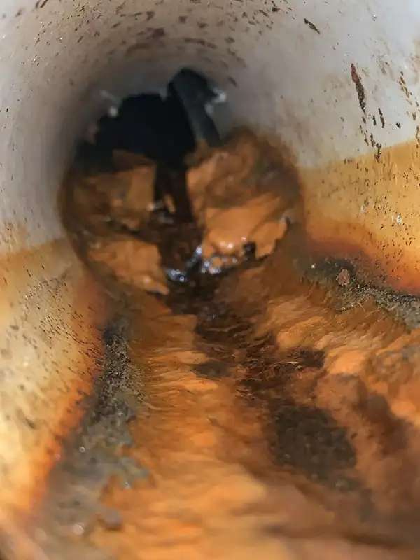 clogged-drainlines-camera-inspection