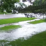 Yard Drainage Problems?